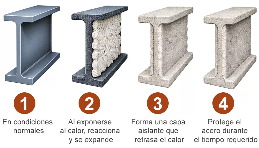 Paso 1 en condiciones normales, paso 2 al exponerse al calor reacciona y se expande, paso 3 forma una capa aislante que retrasa el calor, paso 4 protege el acero durante el tiempo requerido
